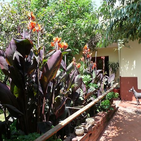 Kukuli Lodge B&B Cusco Bagian luar foto