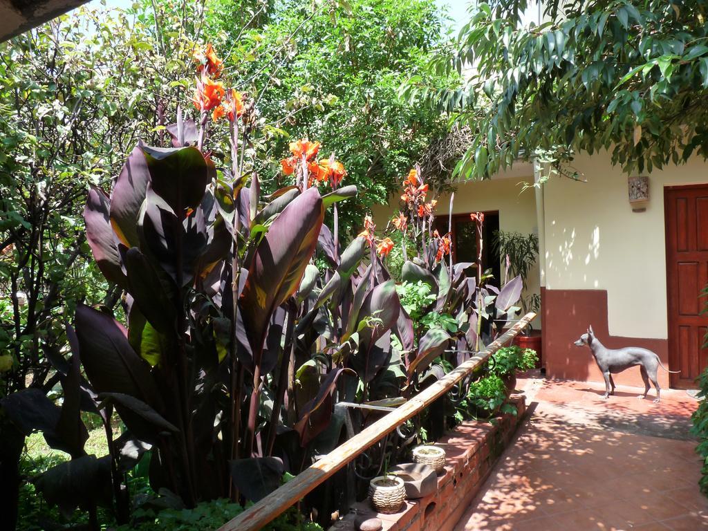 Kukuli Lodge B&B Cusco Bagian luar foto