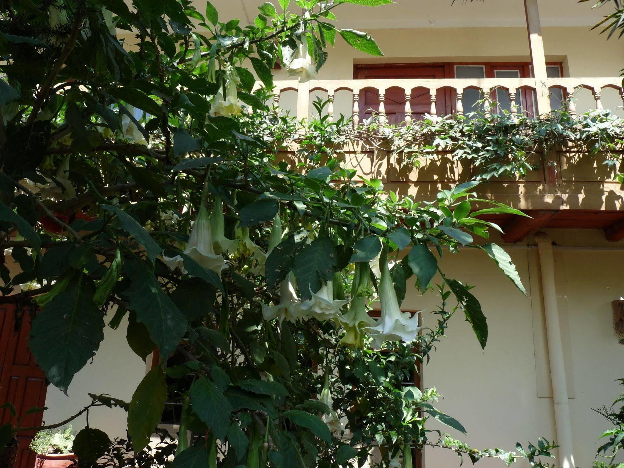 Kukuli Lodge B&B Cusco Bagian luar foto